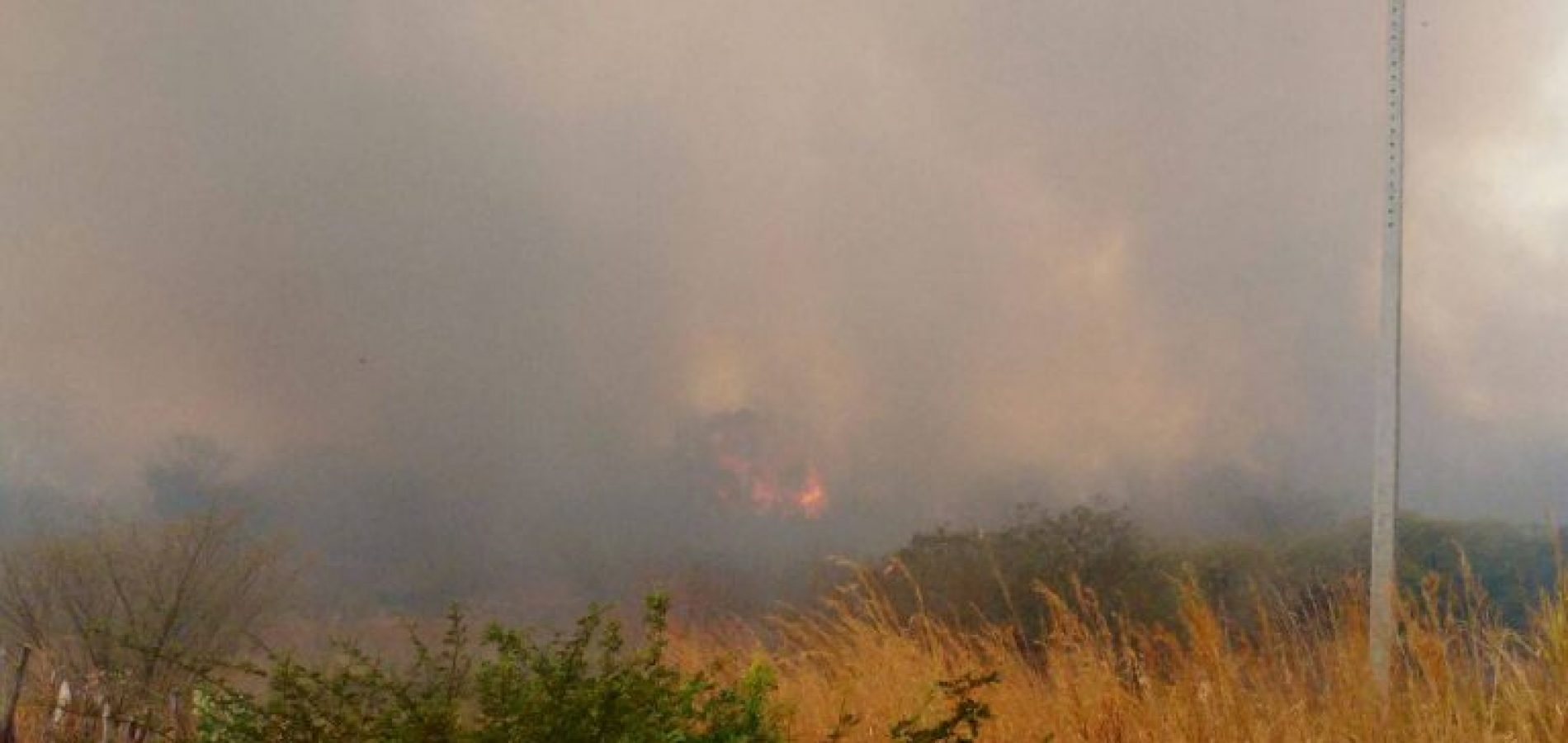 Incêndio florestal de grandes proporções assusta moradores de Picos e Geminiano