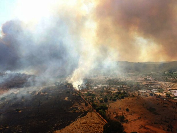 Incêndio atinge área em Alto dos Canutos, povoado vizinho a Picos (Foto: Divulgação/Corpo de Bombeiros)