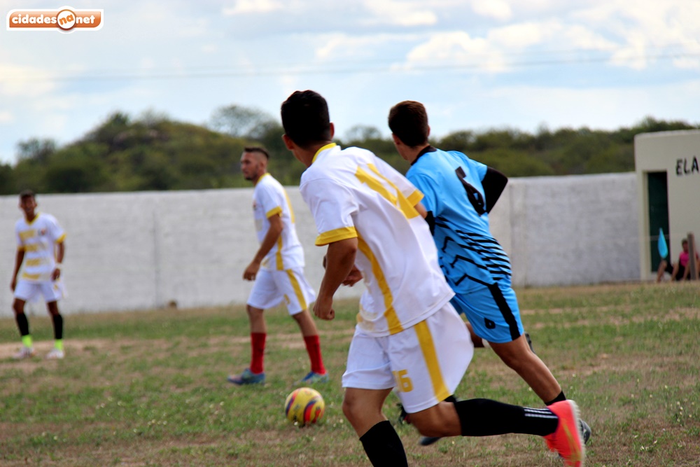 Touro invade campo e provoca correria em jogo do Paraibano Sub-15; veja o  vídeo, futebol